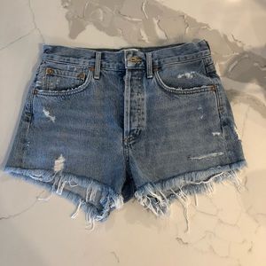 AGOLDE Vintage Parker Shorts in Swapmeet